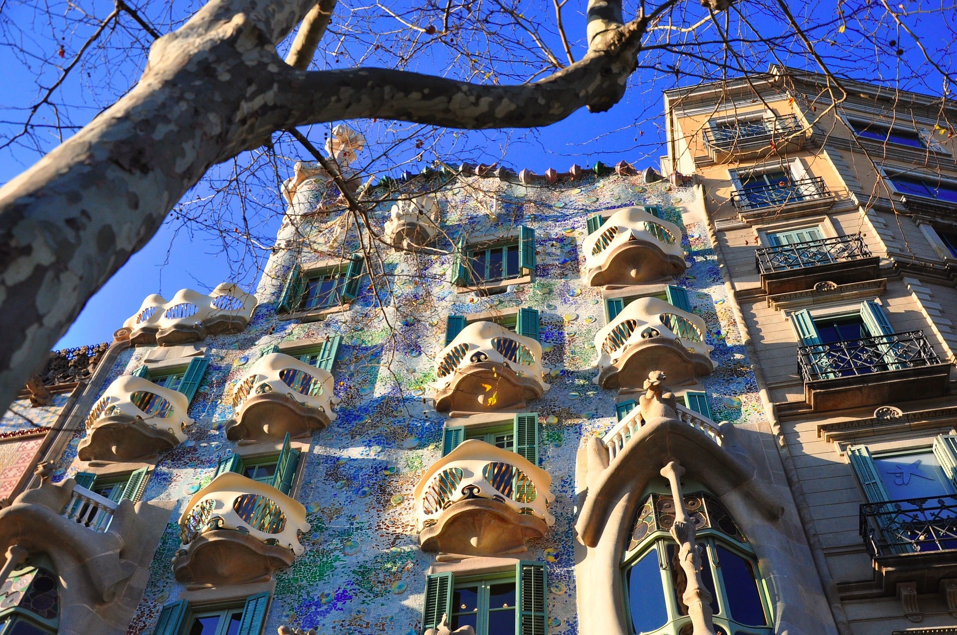 Barcelona - Gaudi - Suarez Spaanse Taal en Cultuur